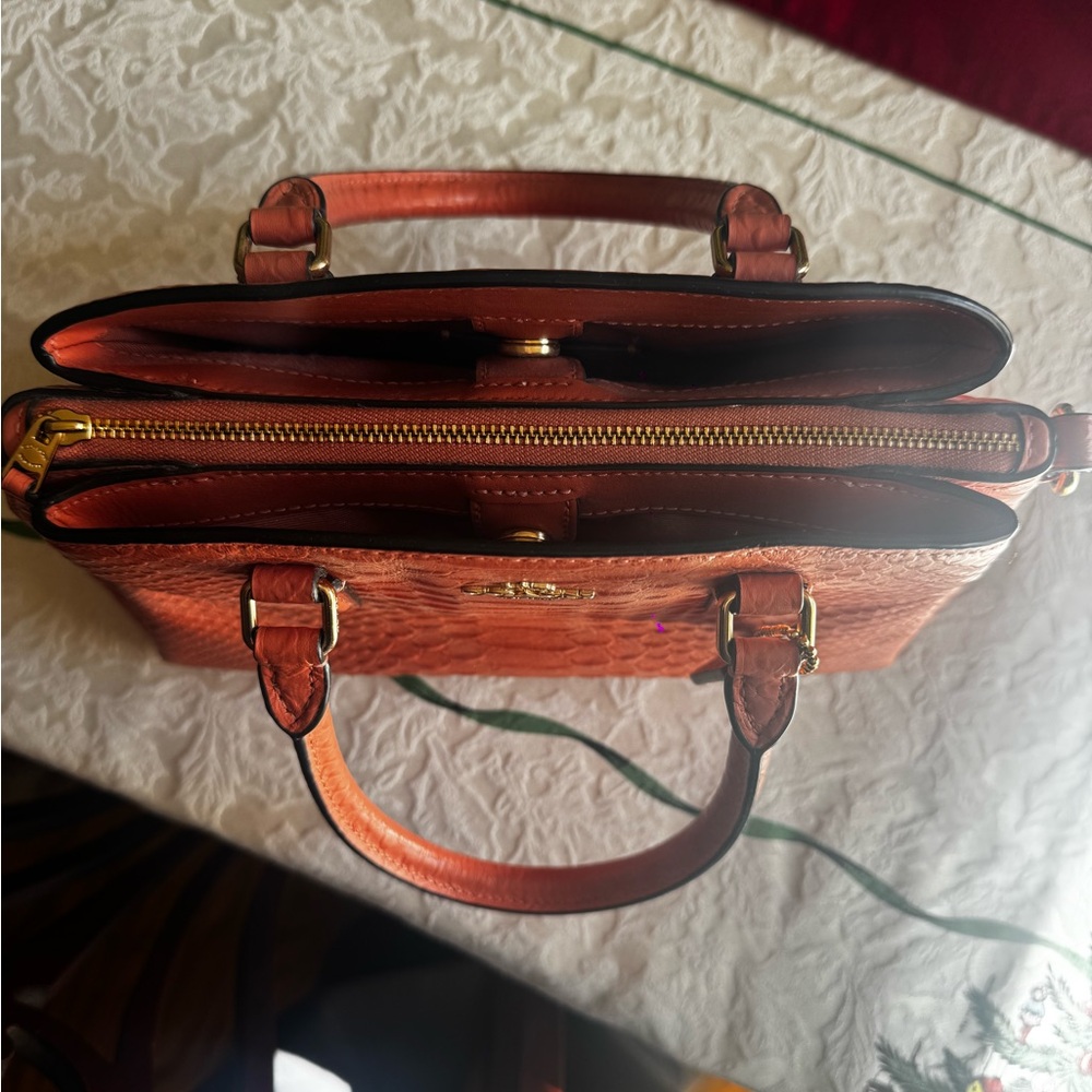 Coach Mini Sage Carryall - Picture 3 of 8